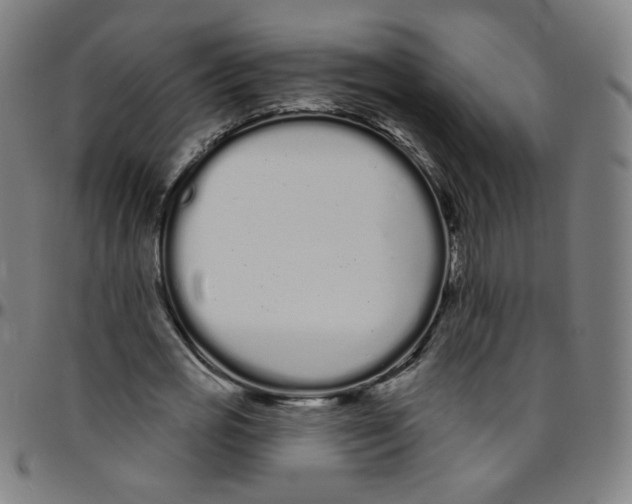 X0000095130725200801041246