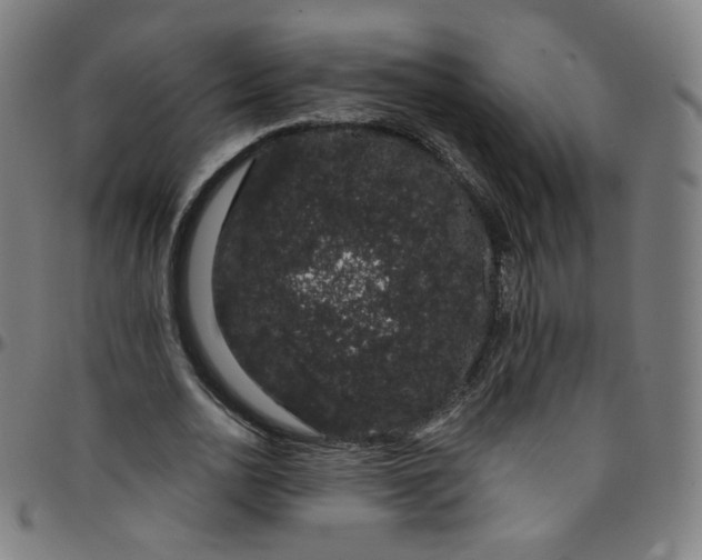 X0000095130726200801041246