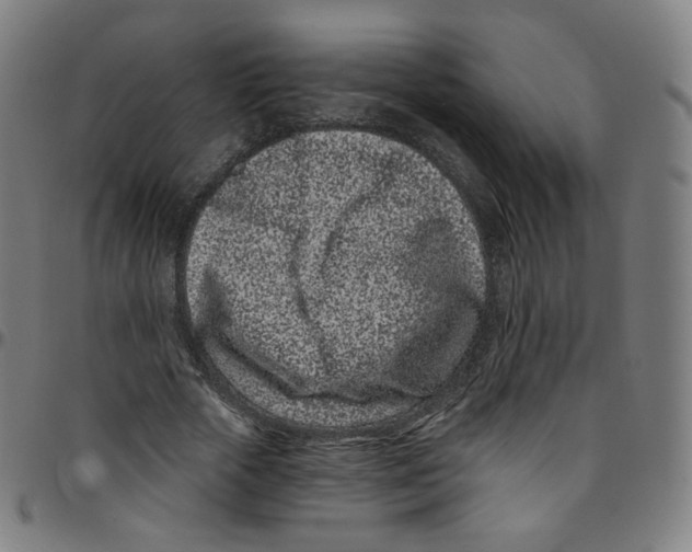 X0000095130729200801041246