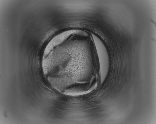 X0000095130731200801041246