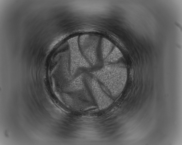 X0000095130732200801041246