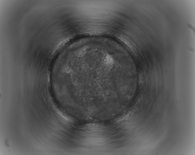 X0000095130733200801041246