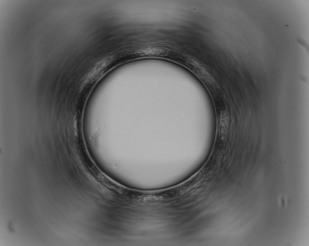 X0000095130734200801041246