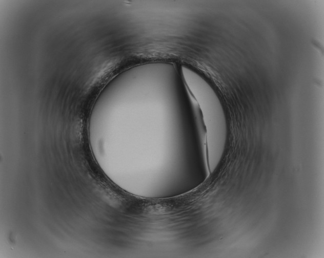 X0000095130735200801041246