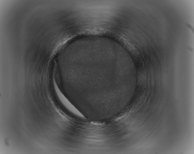 X0000095130736200801041246