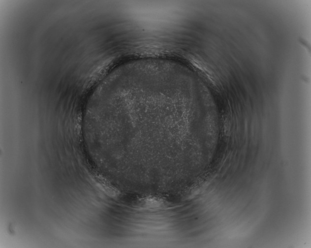 X0000095130737200801041246