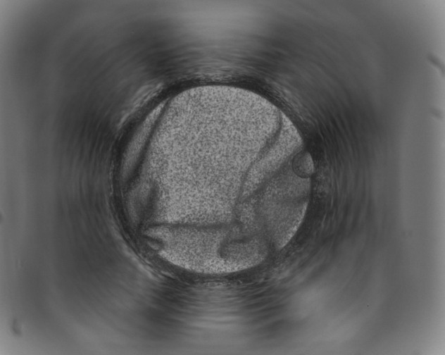 X0000095130738200801041246