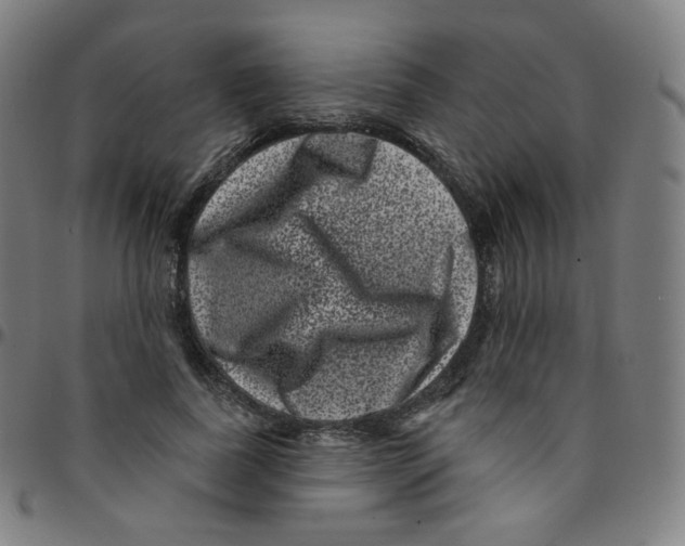 X0000095130739200801041246