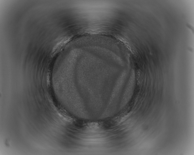 X0000095130740200801041246