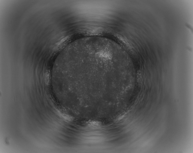 X0000095130741200801041246