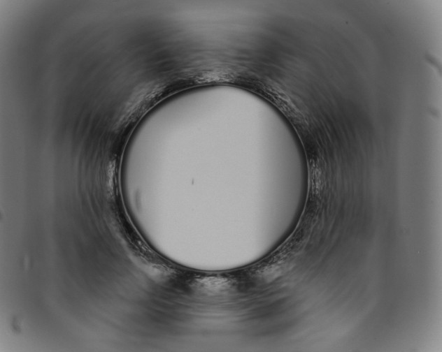 X0000095130742200801041246