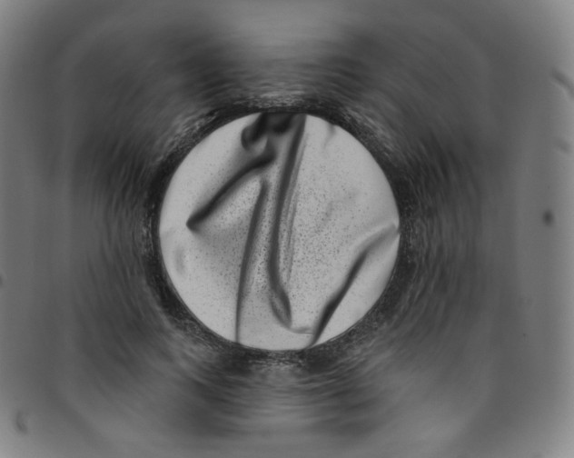 X0000095130743200801041246