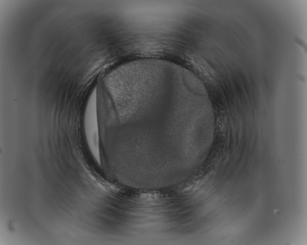 X0000095130744200801041246