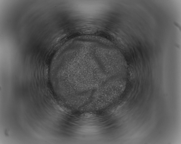 X0000095130745200801041246