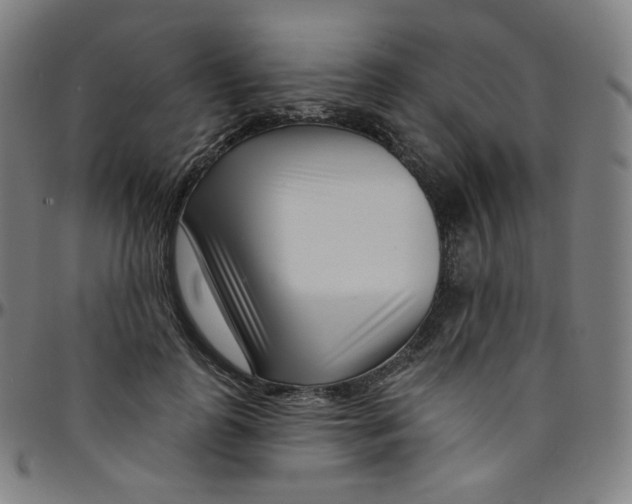 X0000095130747200801041246