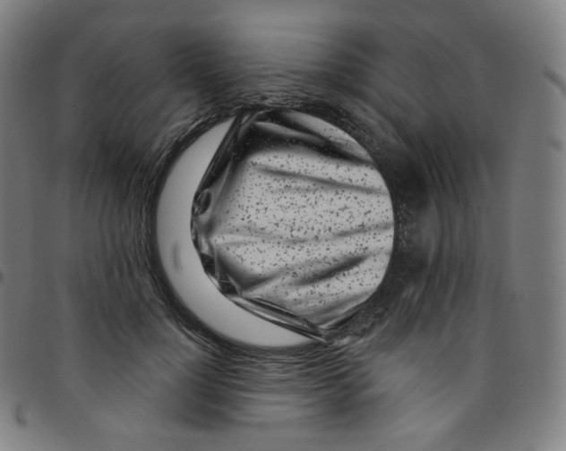 X0000095130748200801041246