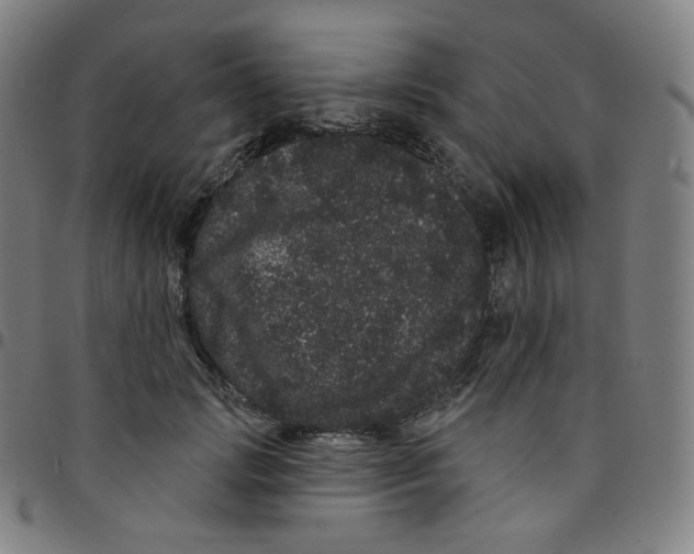 X0000095130749200801041246