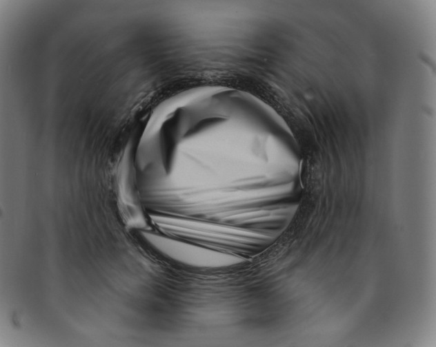 X0000095130750200801041246