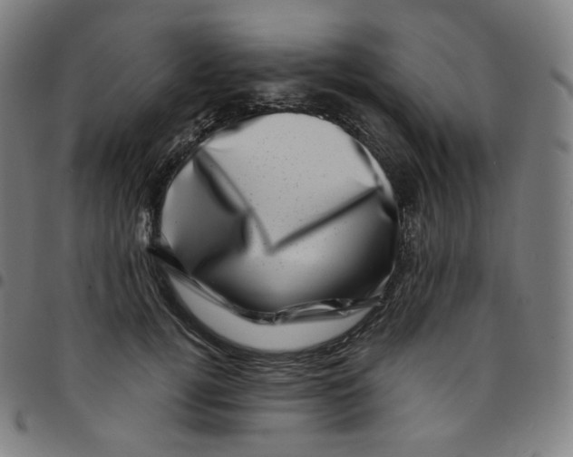 X0000095130752200801041246