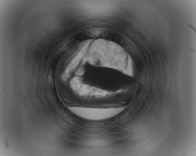 X0000095130754200801041246