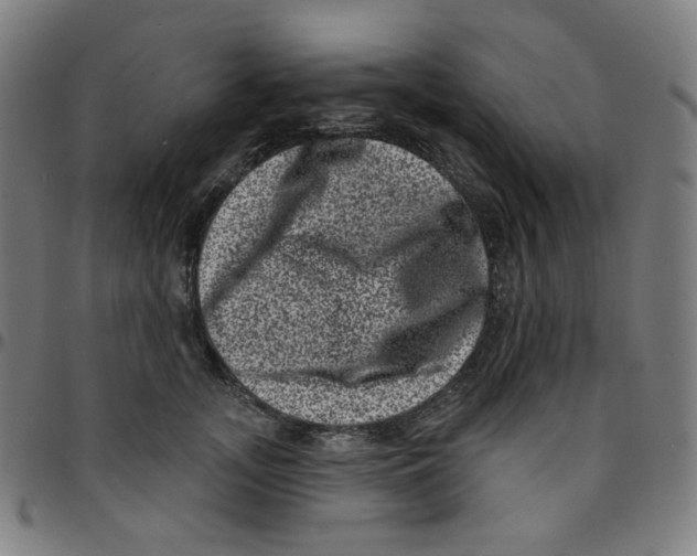 X0000095130755200801041246