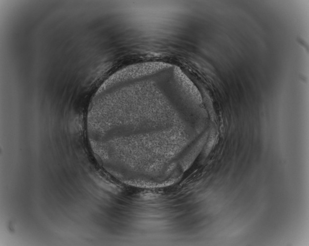 X0000095130756200801041246