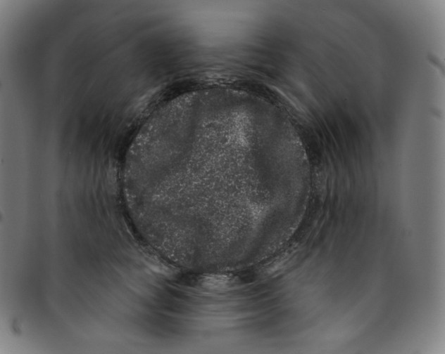 X0000095130757200801041246