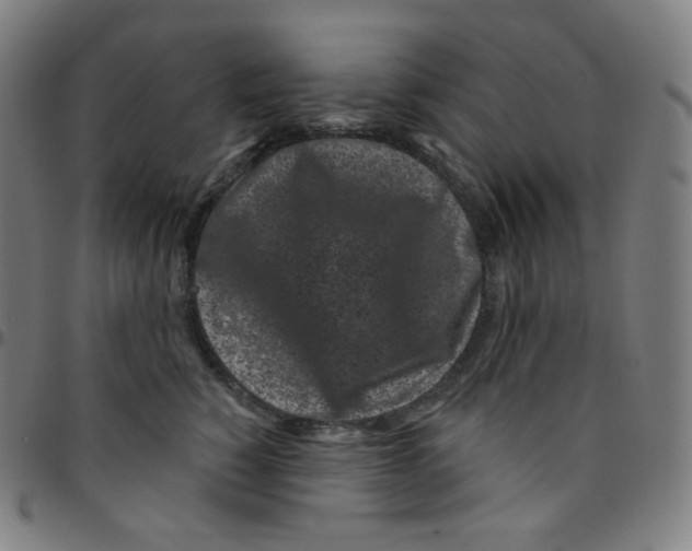 X0000095130760200801041246