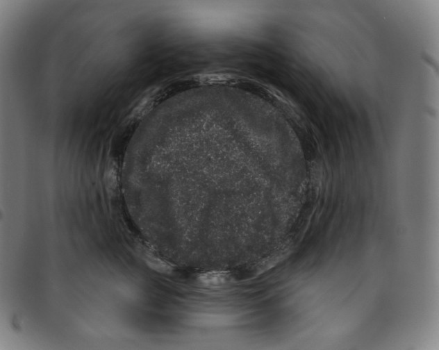 X0000095130761200801041246