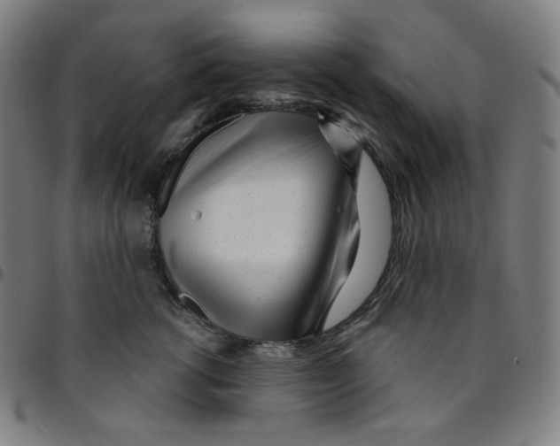 X0000095130762200801041246