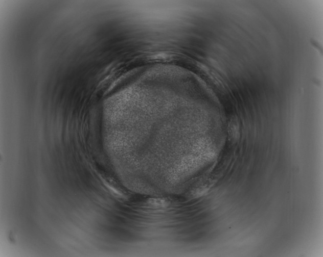 X0000095130764200801041246