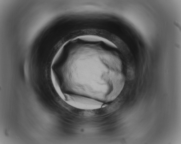 X0000095130765200801041246