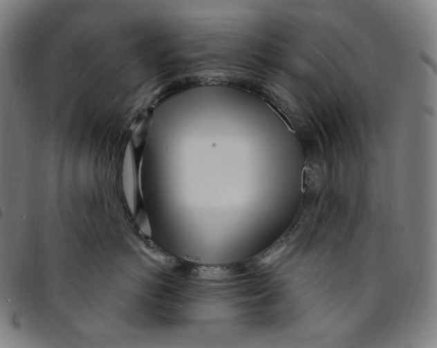 X0000095130766200801041247