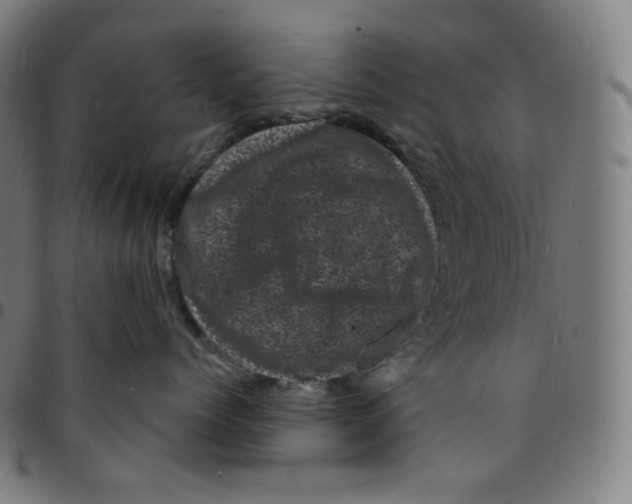 X0000095130768200801041247