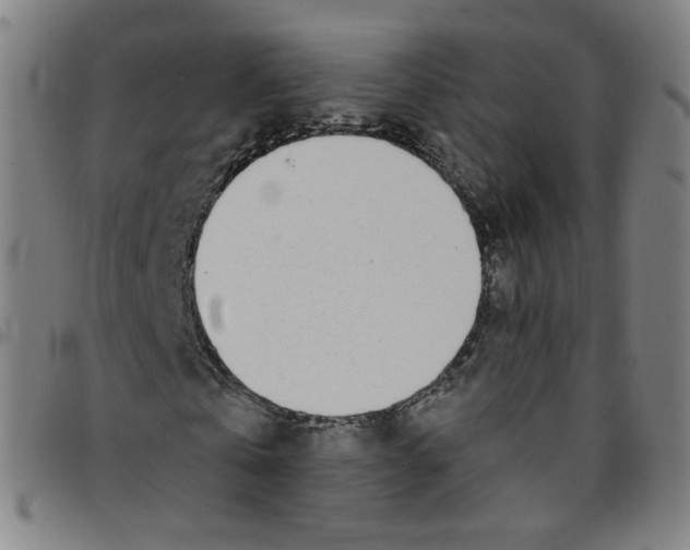 X0000095130769200801041246