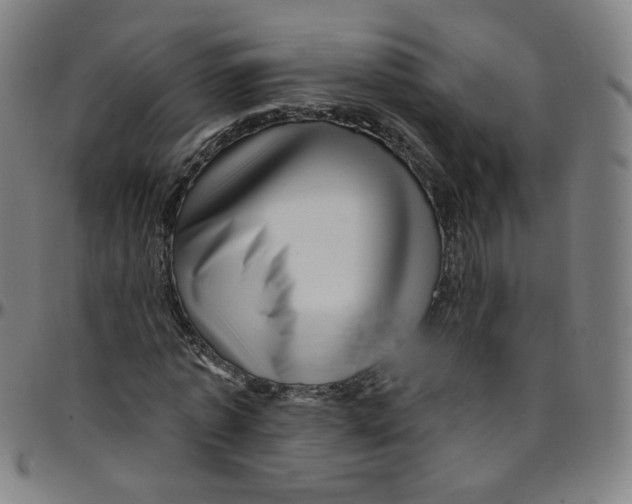 X0000095130773200801041246