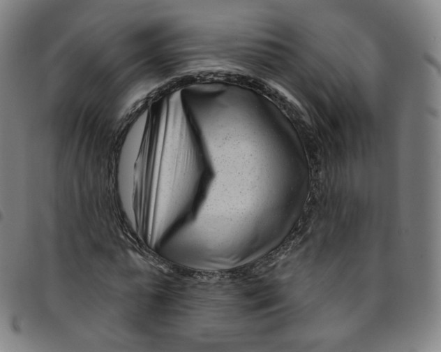 X0000095130775200801041246