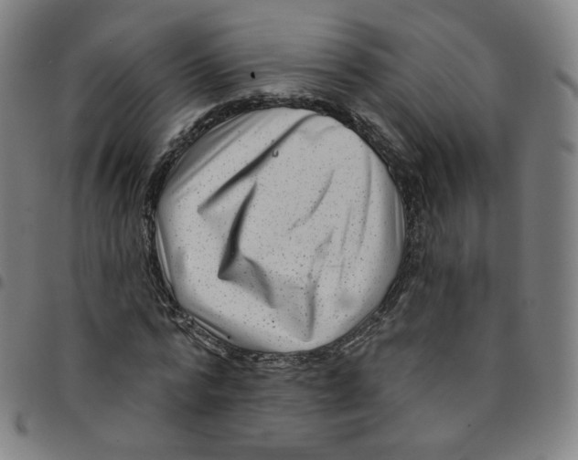 X0000095130776200801041246