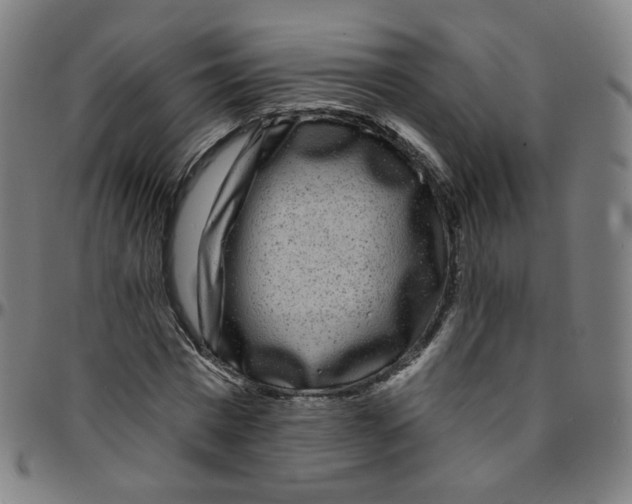 X0000095130777200801041246