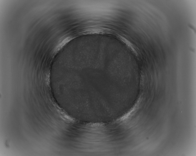 X0000095130778200801041246