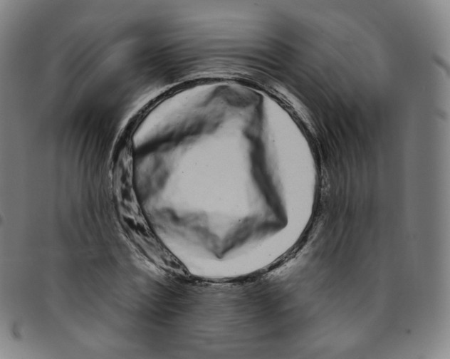 X0000095130779200801041246