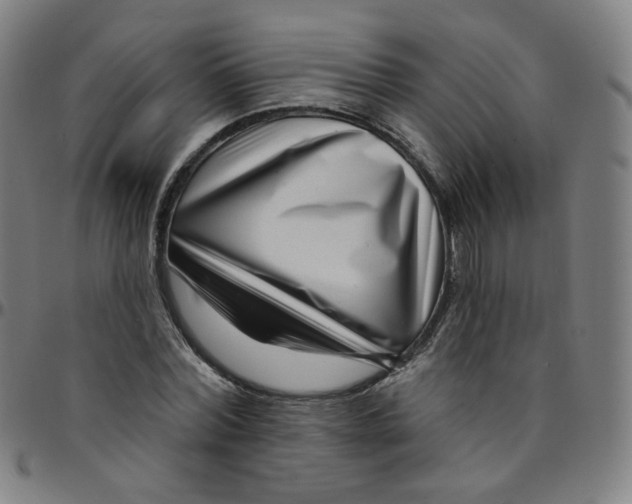 X0000095130780200801041246