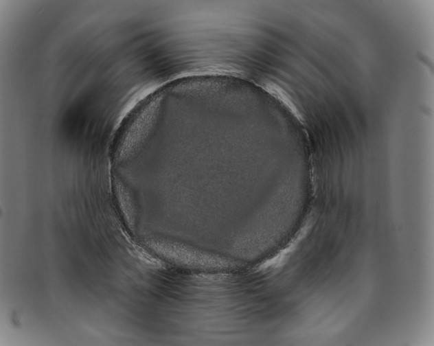 X0000095130781200801041246