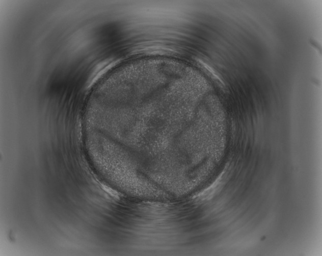 X0000095130782200801041246