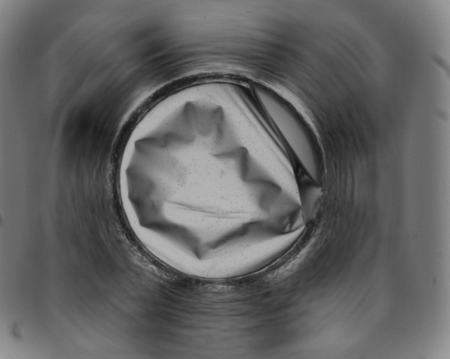 X0000095130783200801041246