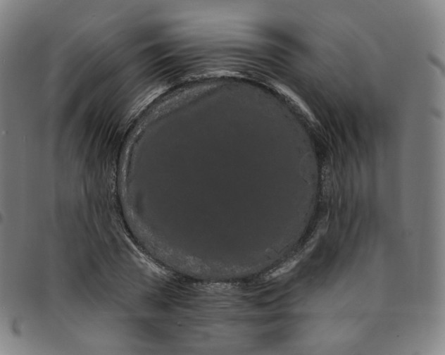 X0000095130785200801041245