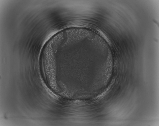 X0000095130787200801041245