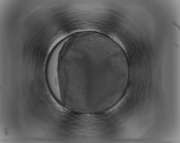 X0000095130789200801041245