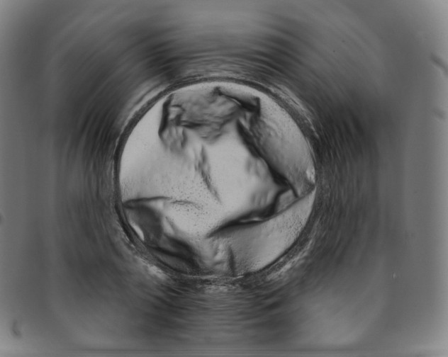 X0000095130790200801041245