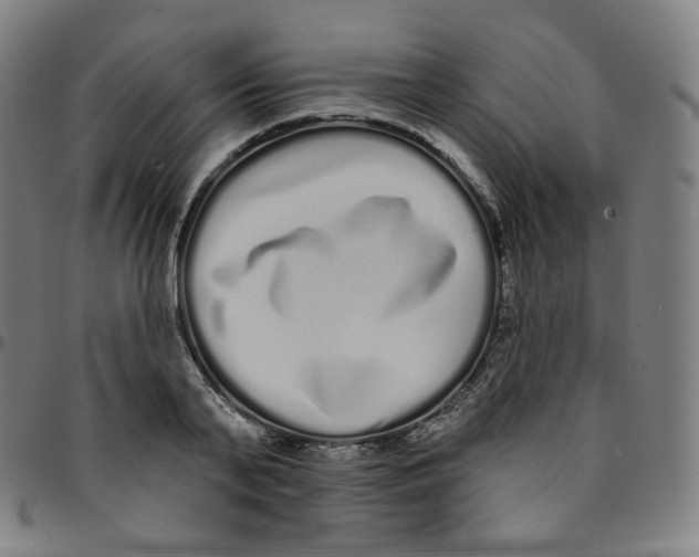 X0000095130791200801041245